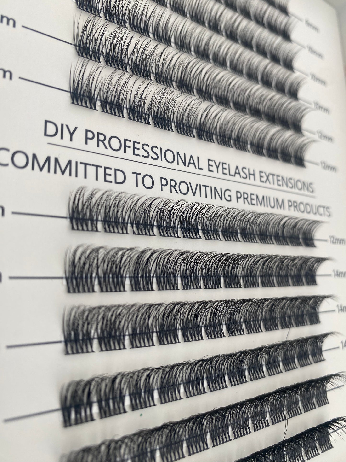 ASTERO- Individual Custom Style Lashes