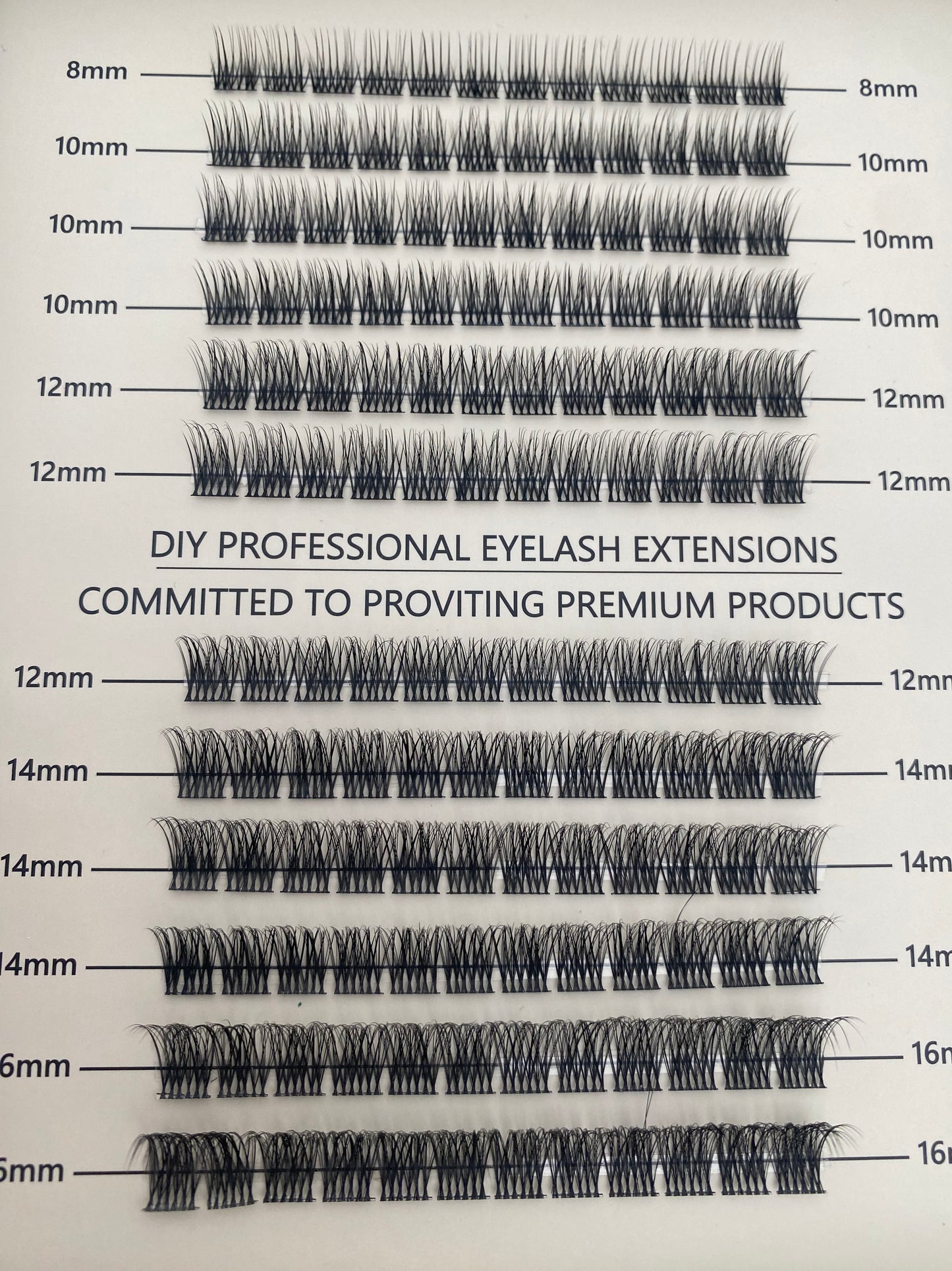 ASTERO- Individual Custom Style Lashes