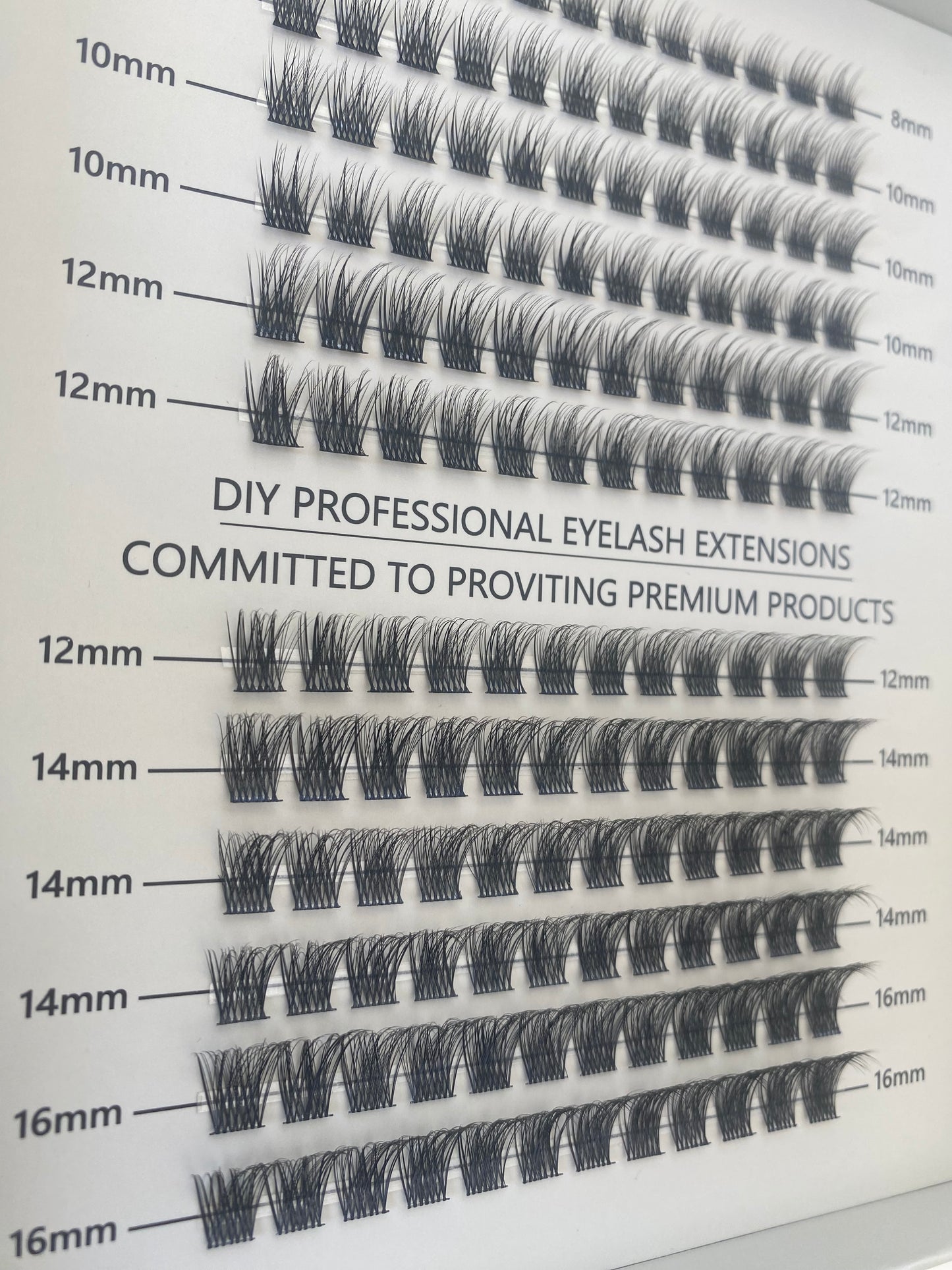 DAY LIGHT - Individual Custom Style Lashes