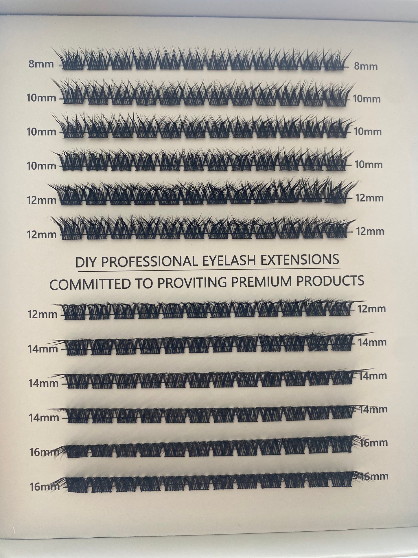 BETH - Individual Custom Style Lashes